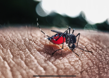 Colombia atraviesa un brote de dengue y fiebre amarilla