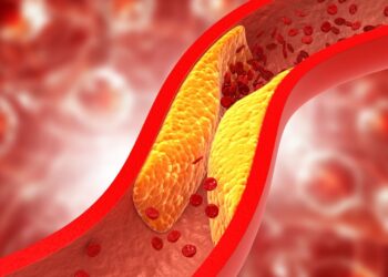 La función del colesterol, un tipo de grasa cuyo desequilibrio afecta al organismo