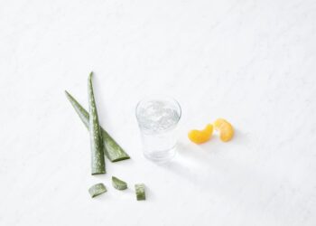 Aloe vera: conoce sus beneficios y cómo consumirla de forma segura