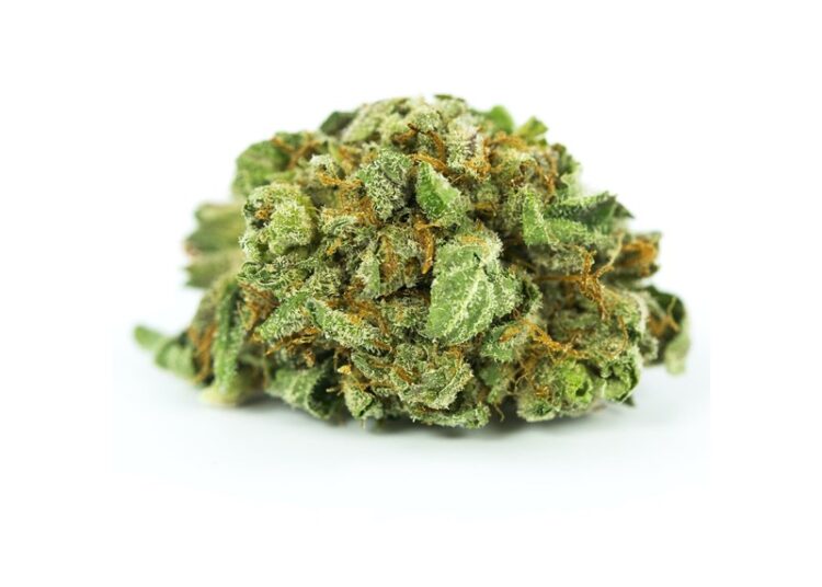 Colombia permite el uso de la flor de cannabis como producto médico y podrá venderse en farmacias