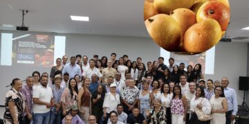 UCC lideró encuentro para fortalecer la competitividad del mango samario en el mercado nacional e internacional